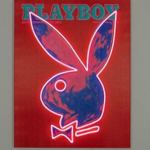 Playboy - Andy Warhol cover