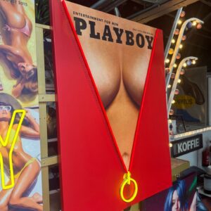 Playboy cover uit Juli 1973 - Its getting HOT HOT HOT - Afbeelding 2