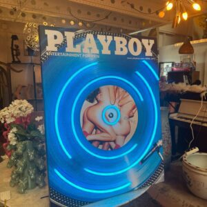 Playboy - cover April 2013 - Sex & Music thema LP - Afbeelding 4
